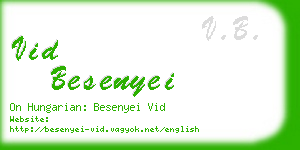 vid besenyei business card